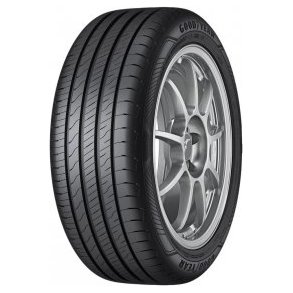 GOODYEAR EfficientGrip Performance 2 205/55R16 91V  